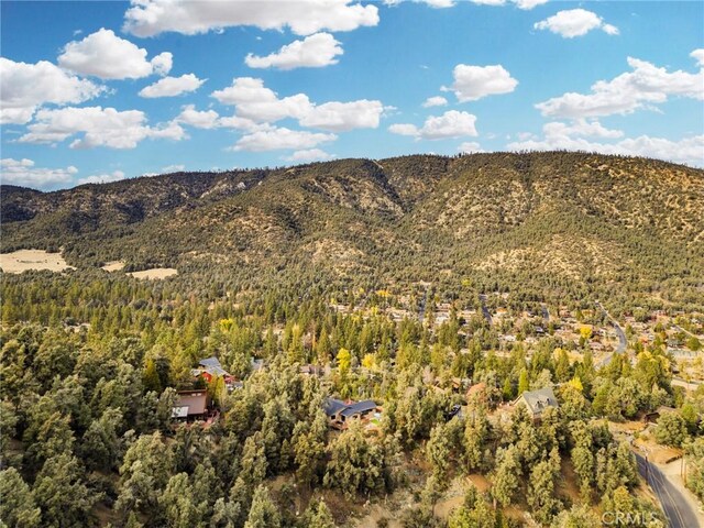 view of mountain feature featuring a forest view