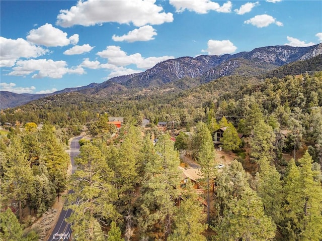mountain view with a wooded view