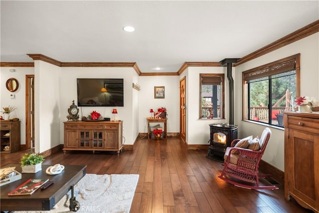 living room featuring crown molding, a wood stove, and dark wood-type flooring