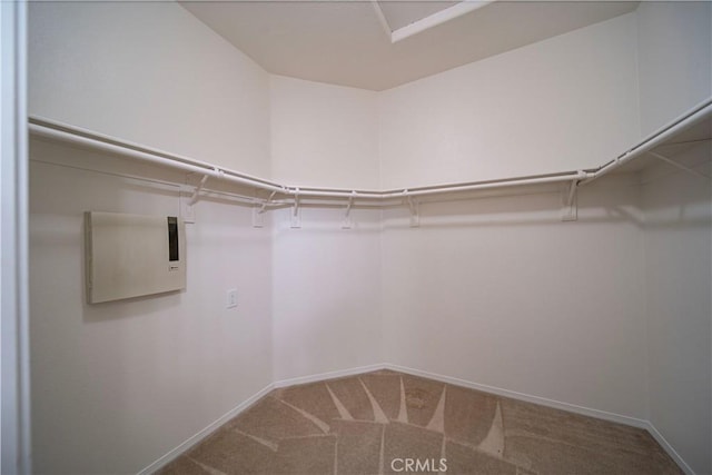 spacious closet with carpet floors