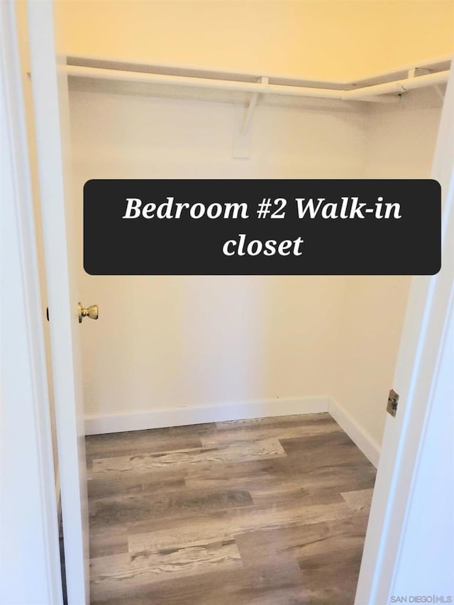 spacious closet with hardwood / wood-style flooring