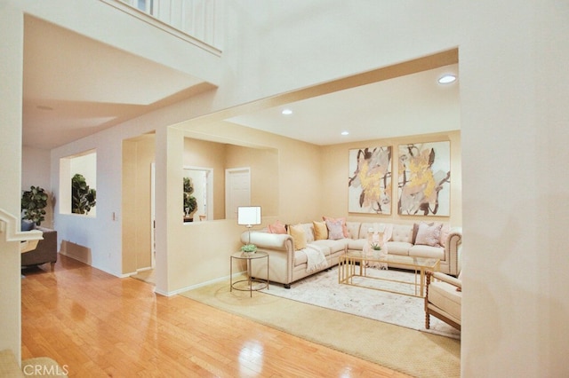 living room with wood-type flooring