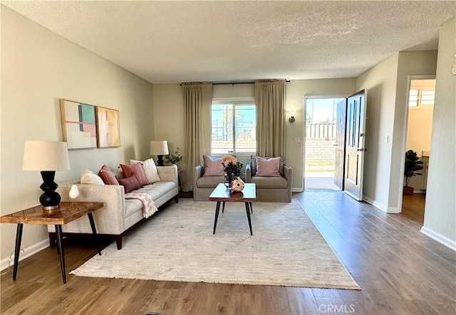 living room with a textured ceiling and hardwood / wood-style flooring