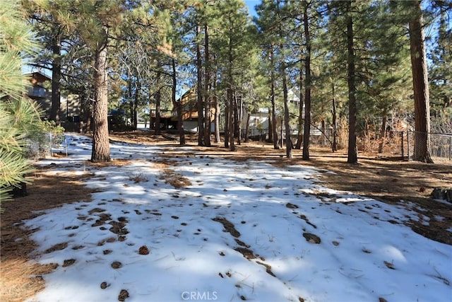 view of yard covered in snow