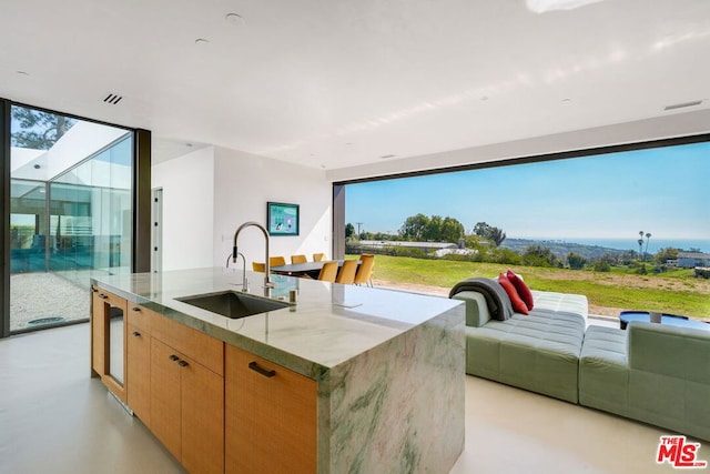 kitchen featuring a kitchen island with sink, sink, and light stone countertops