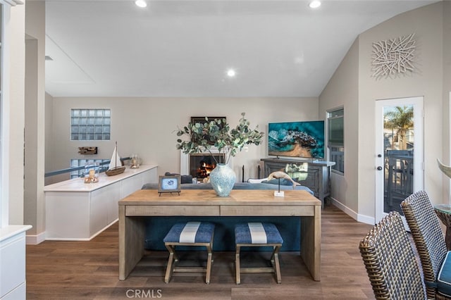 interior space with lofted ceiling and dark hardwood / wood-style floors