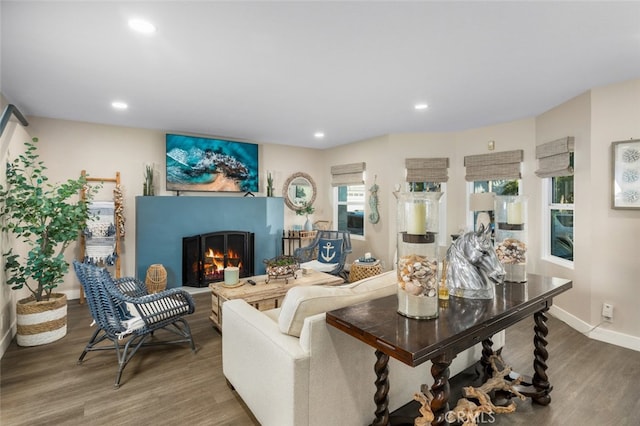 living room featuring hardwood / wood-style flooring