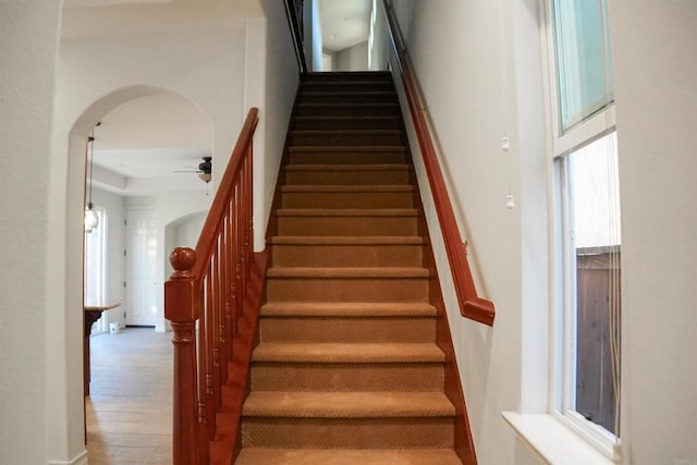 staircase featuring wood-type flooring and ceiling fan