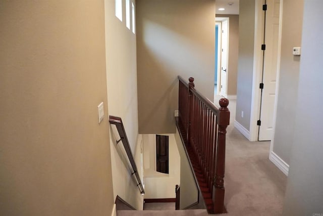 staircase with carpet floors