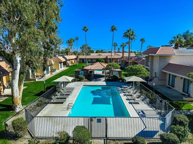 view of pool featuring a patio