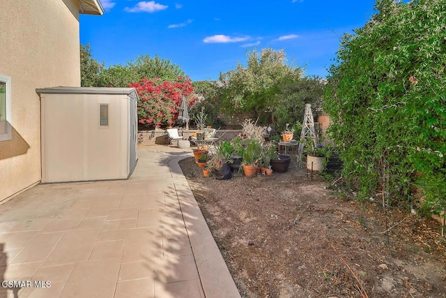 view of yard with a patio