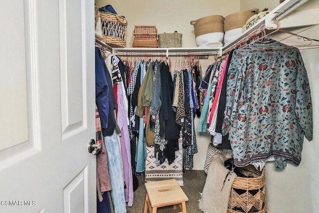 walk in closet featuring carpet flooring