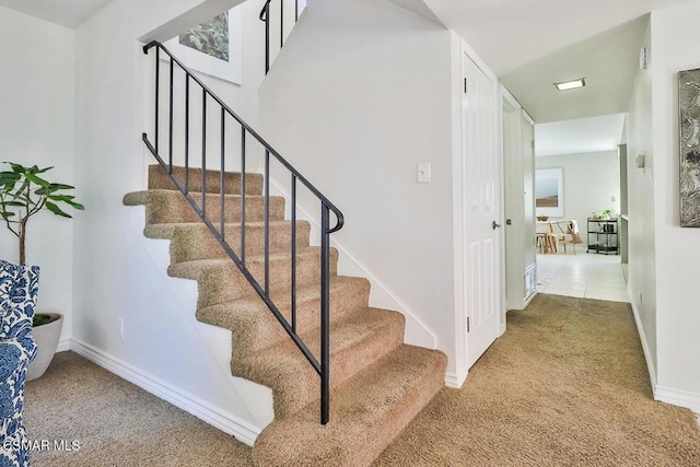 staircase with carpet floors