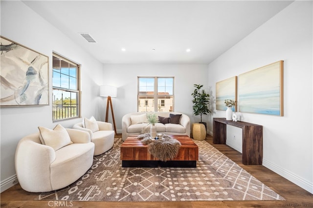 living room featuring dark hardwood / wood-style flooring