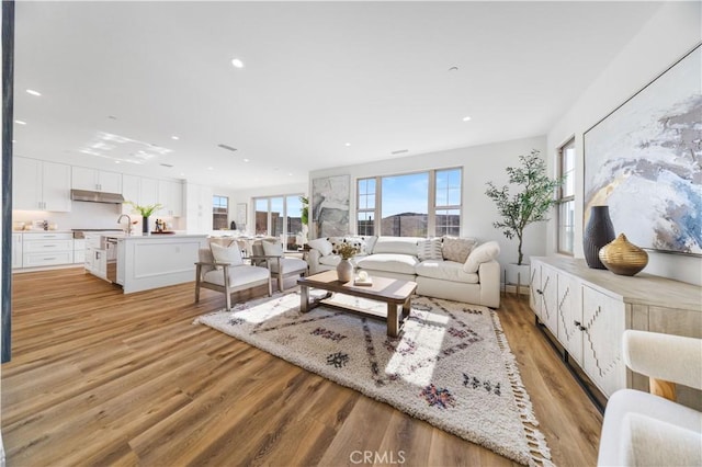 living room featuring light wood-type flooring and sink