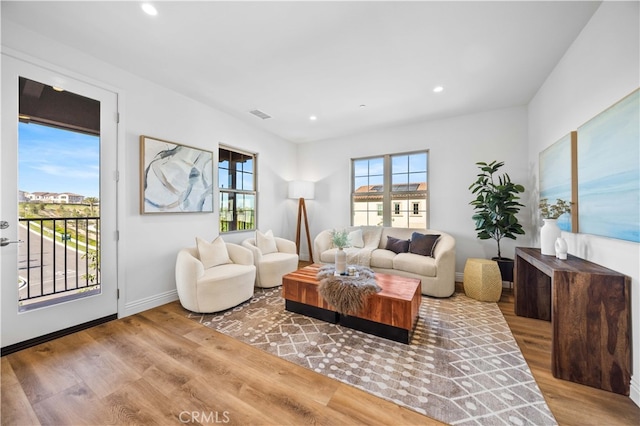 living room with hardwood / wood-style flooring