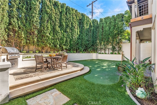 view of yard featuring a patio