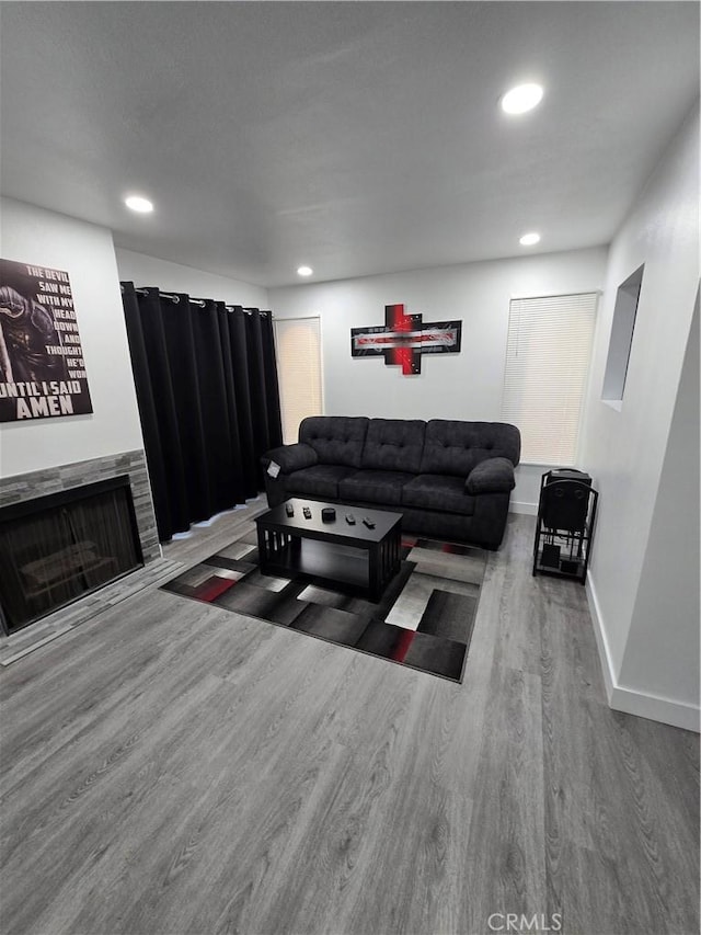 living room with hardwood / wood-style flooring and a stone fireplace