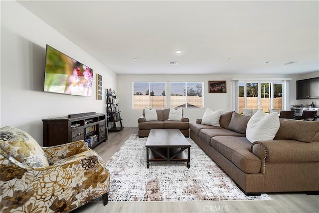 living room featuring light hardwood / wood-style flooring