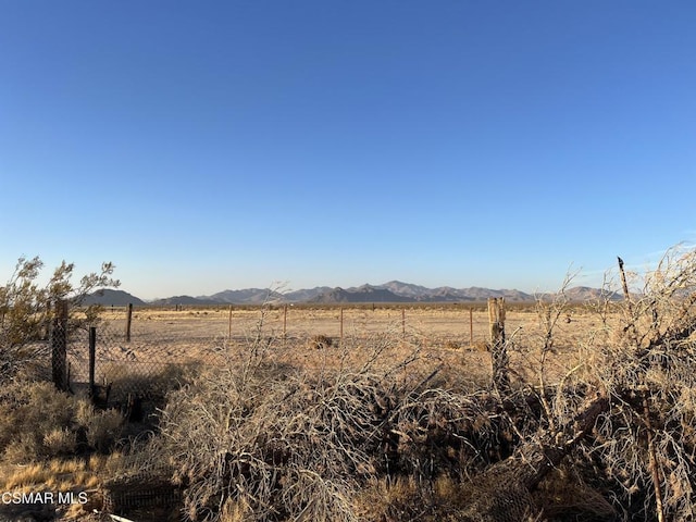 view of yard with a mountain view and a rural view