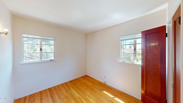 empty room with a wealth of natural light and light hardwood / wood-style floors