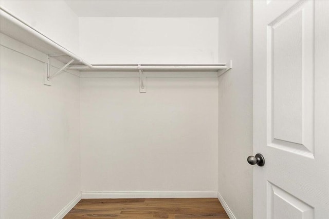 spacious closet featuring dark hardwood / wood-style floors