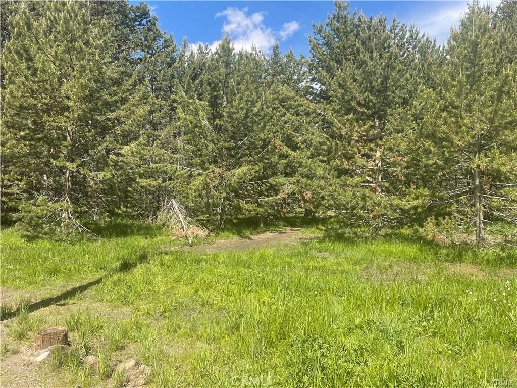 1111 E San Bernardino Ave, South Lake Tahoe, CA 96150 - view of nature