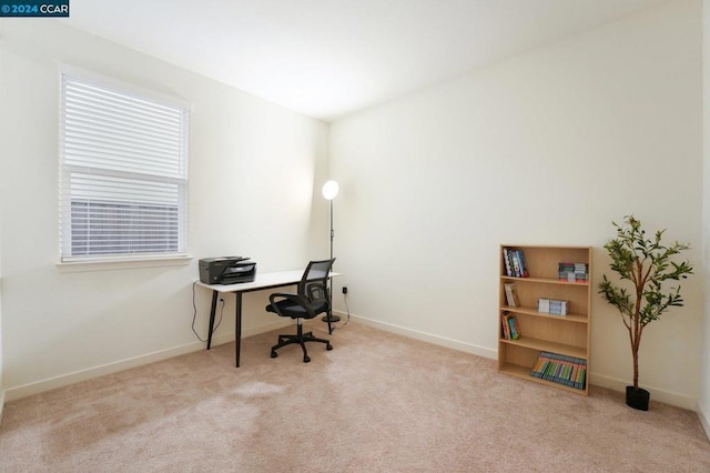 office featuring light carpet