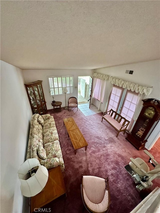 living room with carpet, lofted ceiling, and a textured ceiling