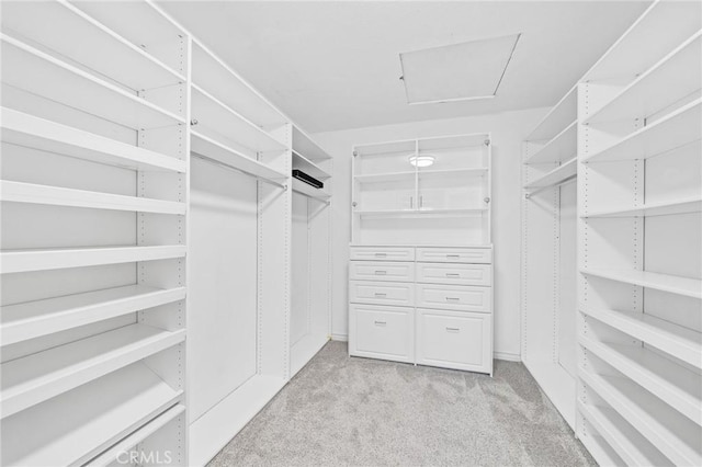 walk in closet with light colored carpet