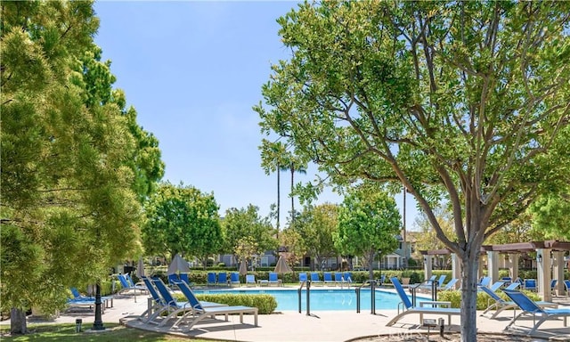 view of pool with a patio area