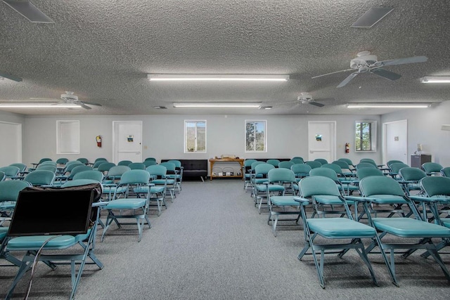 misc room featuring a wealth of natural light, carpet, and a textured ceiling