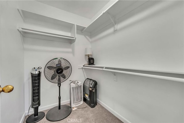 spacious closet featuring light colored carpet