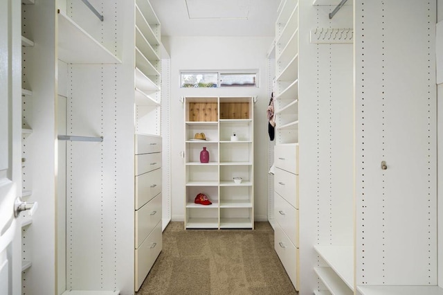 walk in closet with dark colored carpet