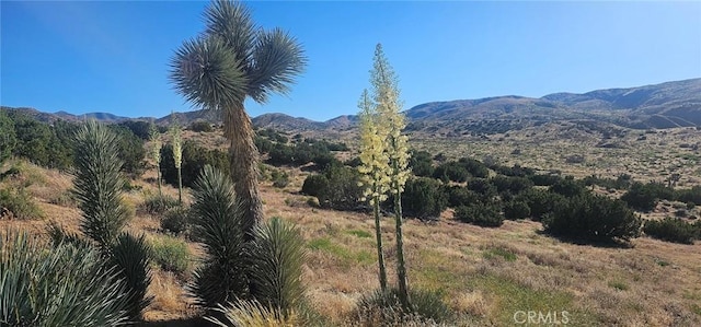 view of mountain feature