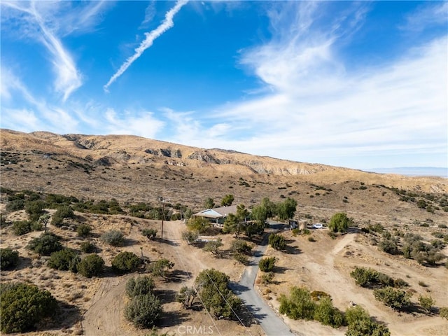 view of mountain feature