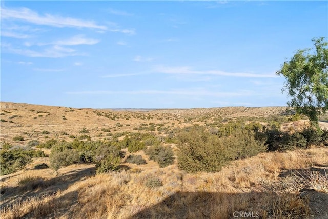 view of local wilderness