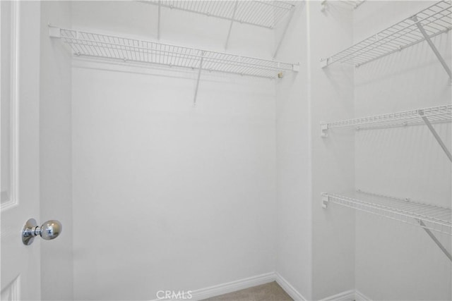 view of spacious closet