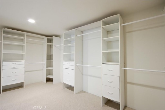 walk in closet featuring light colored carpet