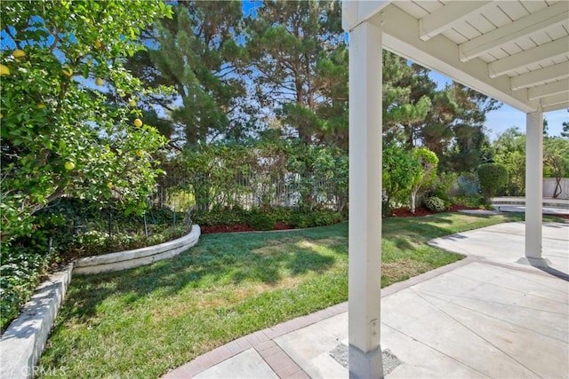 view of yard featuring a patio