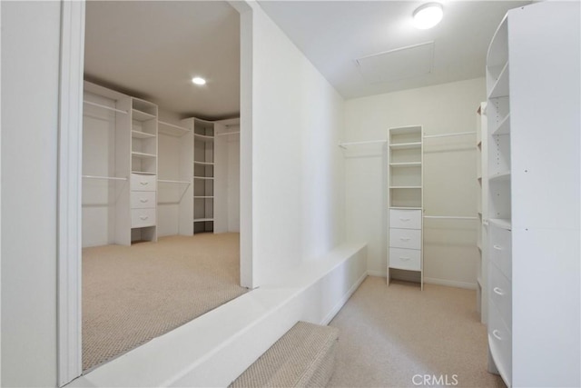 walk in closet with light carpet