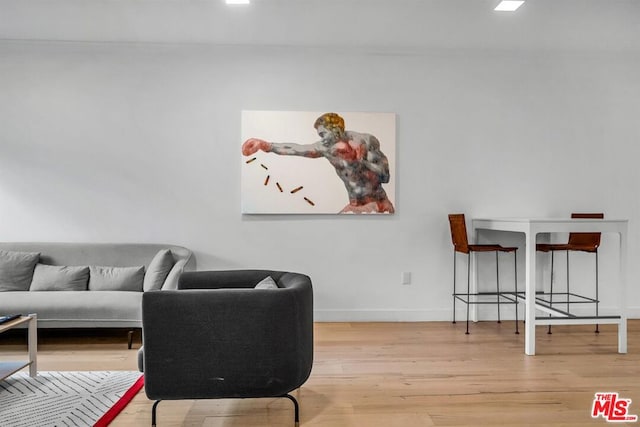 living room featuring hardwood / wood-style flooring