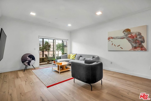 living room featuring light wood-type flooring