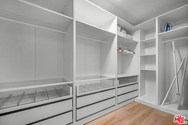 spacious closet with wood-type flooring