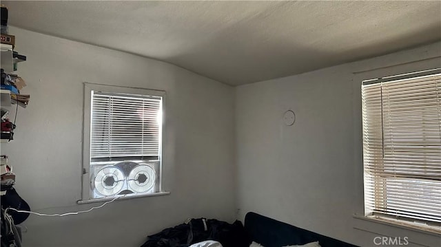 bedroom featuring lofted ceiling