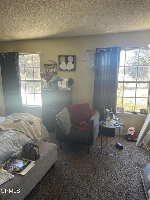 living room featuring a textured ceiling and carpet