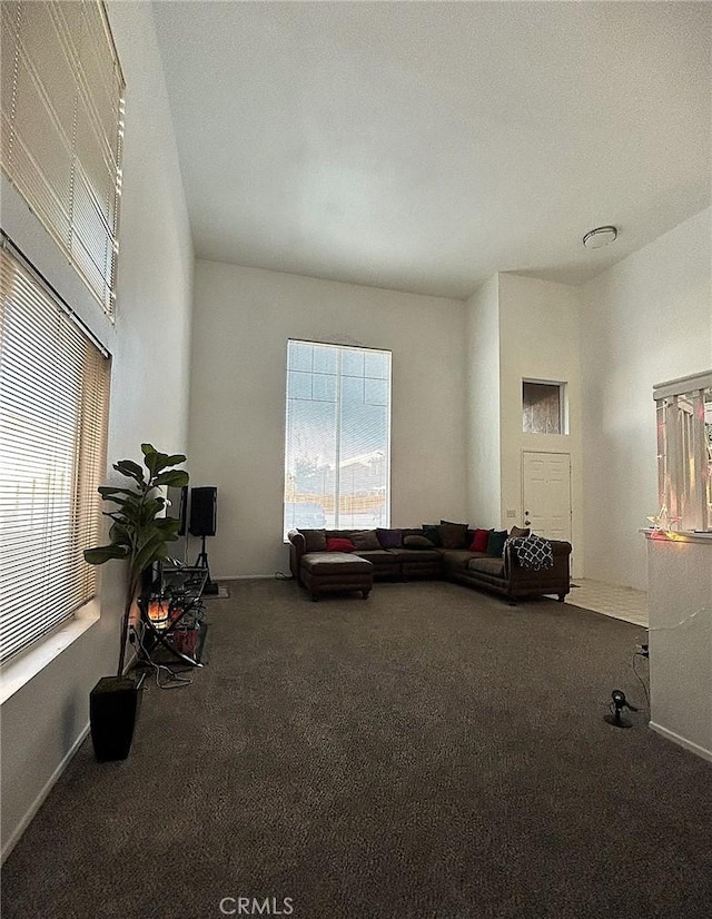 living area featuring baseboards and carpet flooring