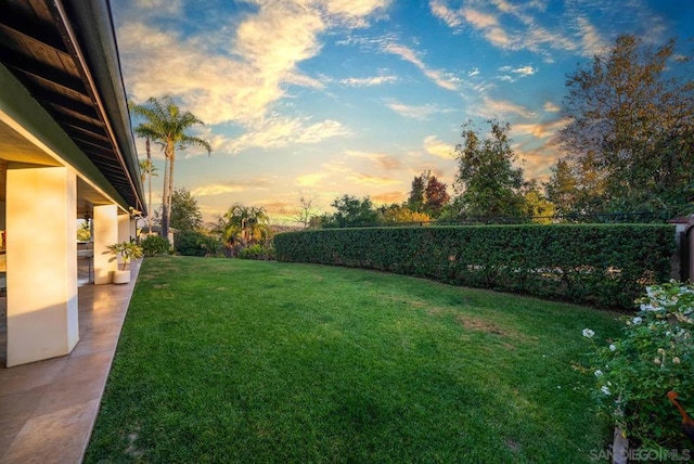 view of yard at dusk