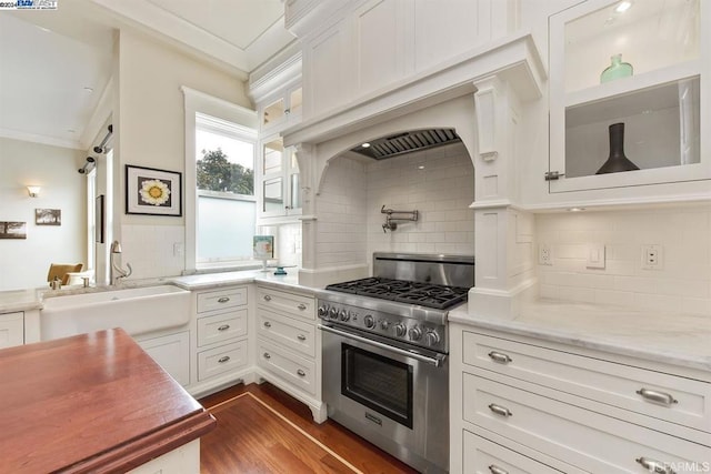 kitchen featuring backsplash, white cabinets, high end stainless steel range oven, and dark wood-type flooring