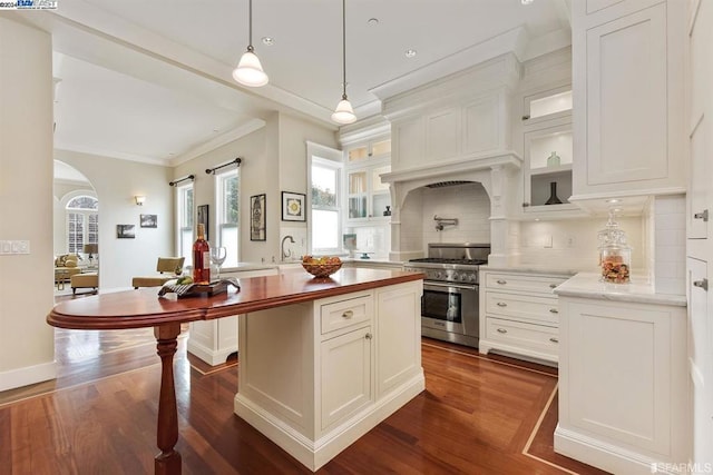 kitchen with backsplash, dark hardwood / wood-style flooring, white cabinetry, and high end stainless steel range